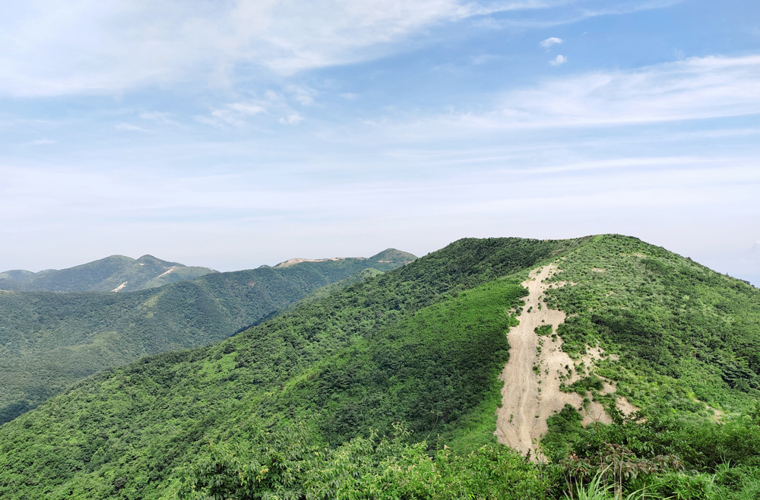 天子山风电。ㄔ诮ǎ