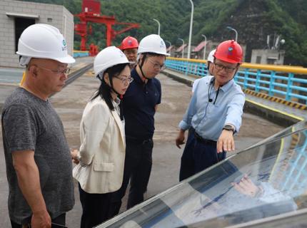 湖南省水利厅工作组赴皂市水库查抄领导工作